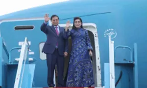 Thủ tướng lên đường thăm UAE, Qatar, Arab Saudi